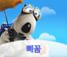 빼꼼