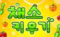 채소 키우기